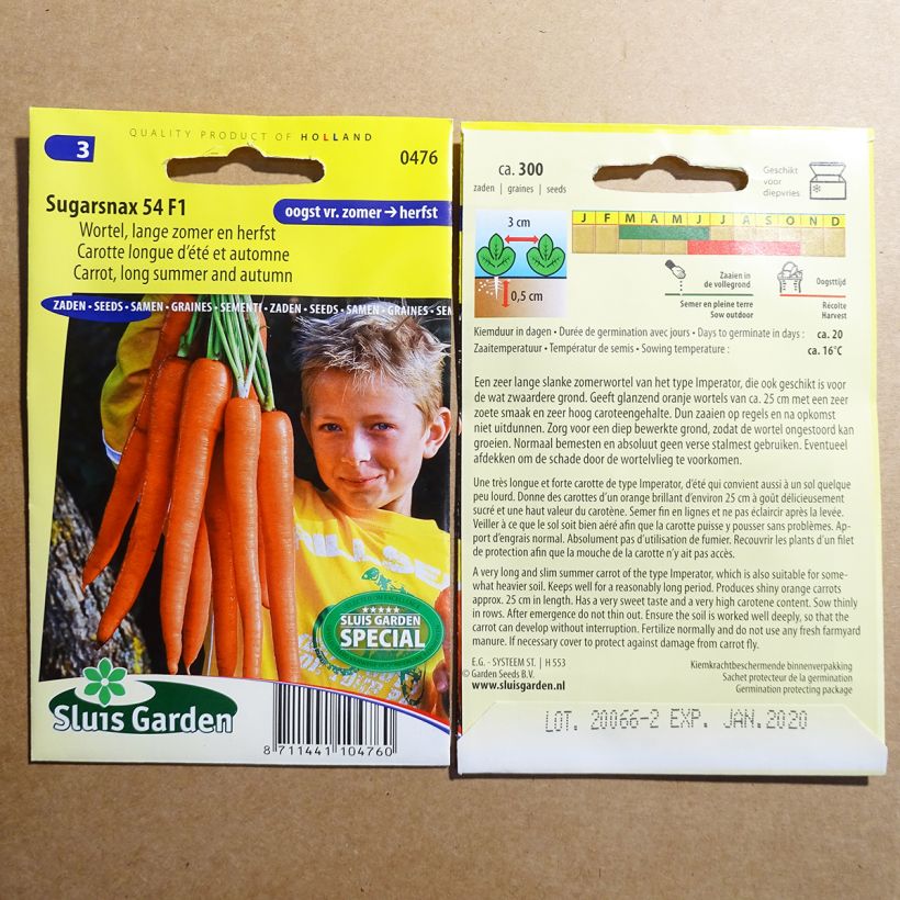 Beispiel eines Exemplars von Möhre Sugarsnax 54 F1 die Tüte mit 300 Samen wie geliefert