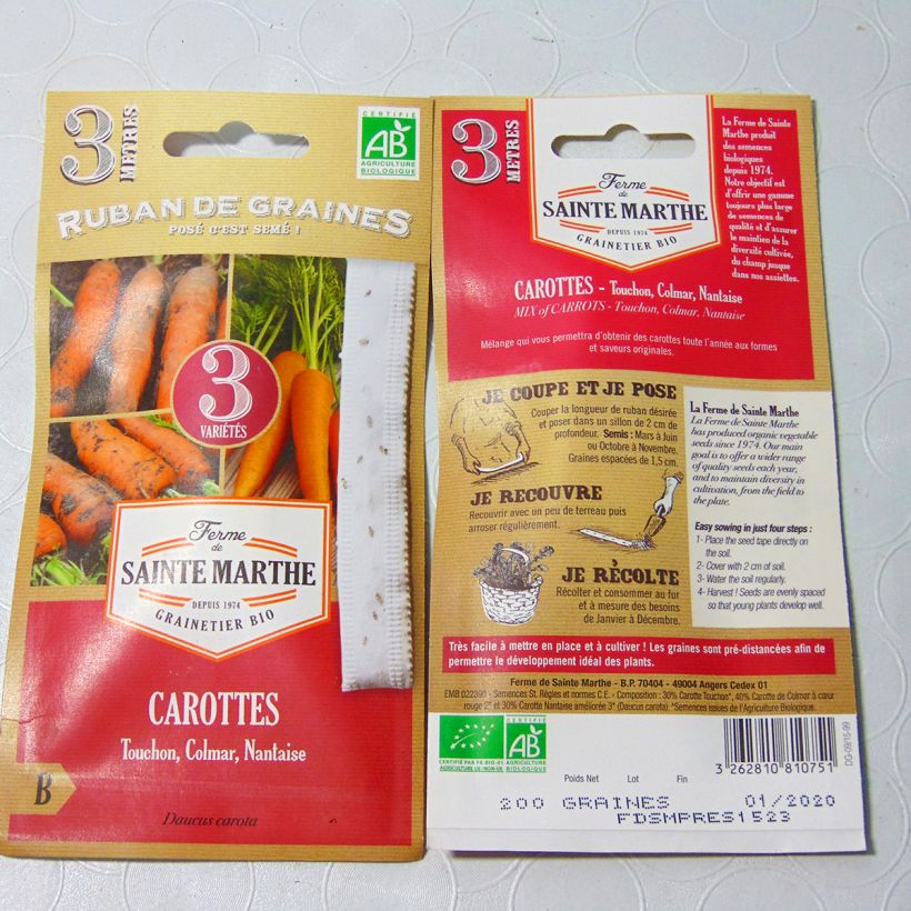 Beispiel eines Exemplars von Möhre Mix (Möhren-Saatband) - Daucus carota Samen in Bändern wie geliefert