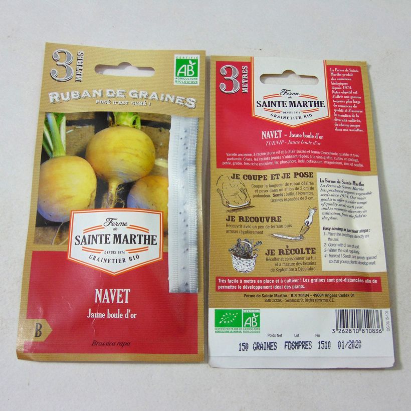 Beispiel eines Exemplars von Boule d'Or Bio - Ferme de Sainte Marthe (Saatband) Samen in Bändern wie geliefert