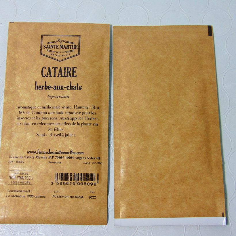 Beispiel eines Exemplars von Echte Katzenminze - Ferme de Sainte Marthe - Nepeta cataria die Tüte mit 1000 Samen wie geliefert