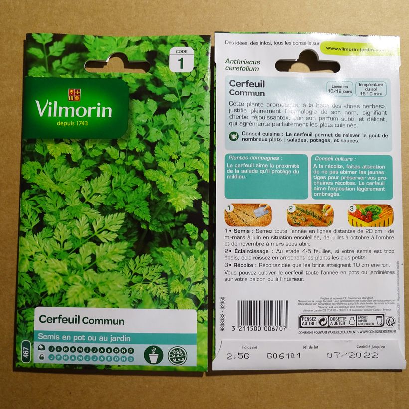 Beispiel eines Exemplars von Garten-Kerbel - Vilmorin - Anthriscus cerefolium die Tüte mit 60 Samen (2g) wie geliefert