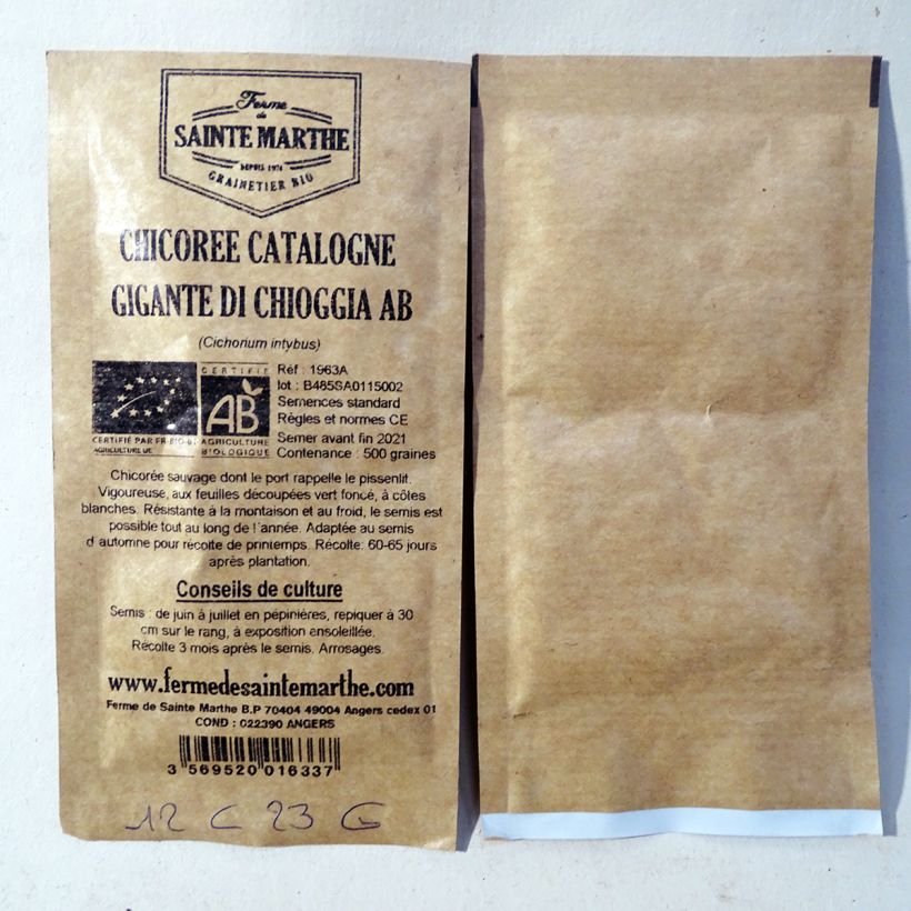 Beispiel eines Exemplars von Blattzichorie Catalogne Gigante di Chioggia Bio - Ferme de Sainte Marthe die Tüte mit 500 Samen wie geliefert