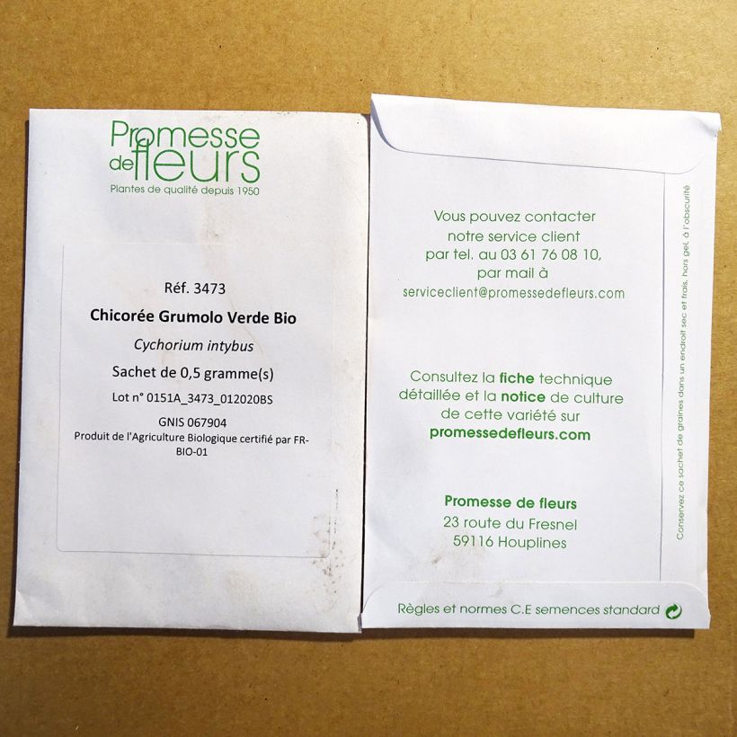 Beispiel eines Exemplars von Zichoriensalat Grumolo Verde Bio die Tüte mit 300 Samen (0.5g) wie geliefert