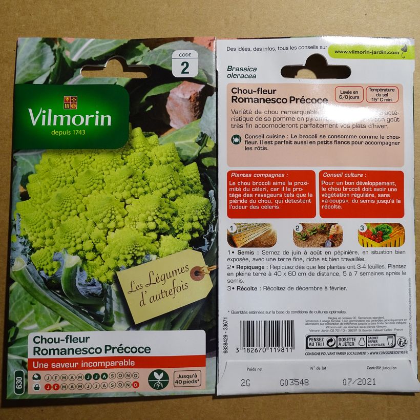 Beispiel eines Exemplars von Brokkoli Romanesco - Vilmorin die Tüte mit 800 Samen (2g) wie geliefert