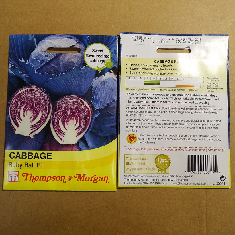 Beispiel eines Exemplars von Rotkohl Ruby Ball F1 die Tüte mit 40 Samen wie geliefert