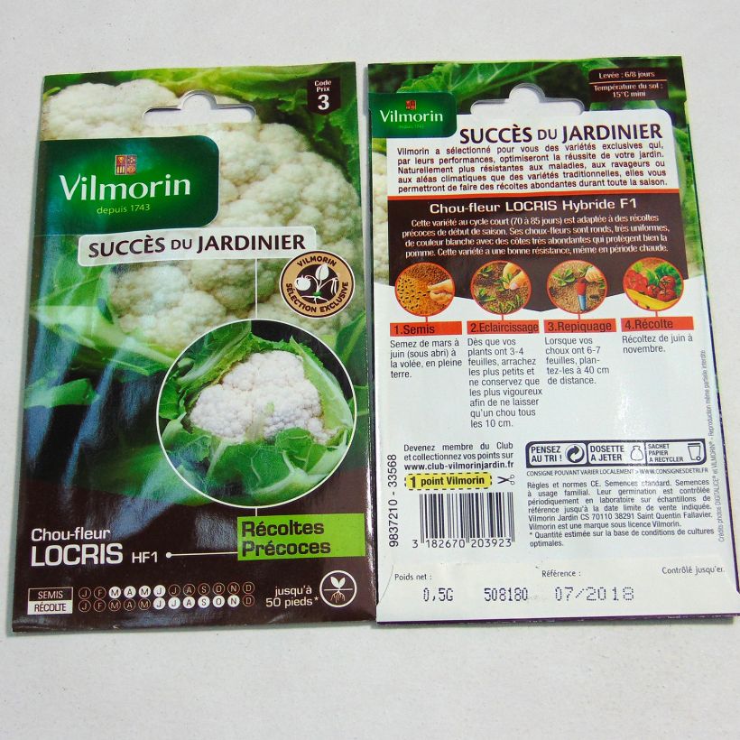 Beispiel eines Exemplars von Blumenkohl Locris F1 - Vilmorin die Tüte mit 200 Samen (0.5g) wie geliefert