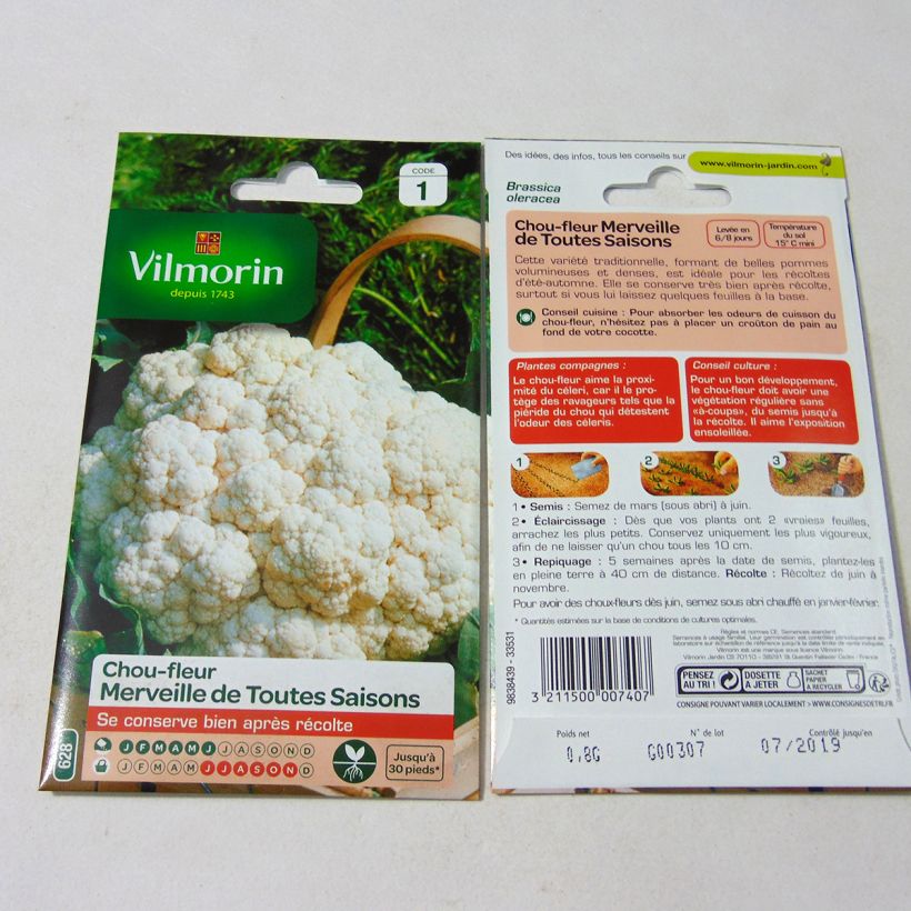 Beispiel eines Exemplars von Blumenkohl Merveille de Toutes Saisons - Vilmorin die Tüte mit 320 Samen (0.8g) wie geliefert