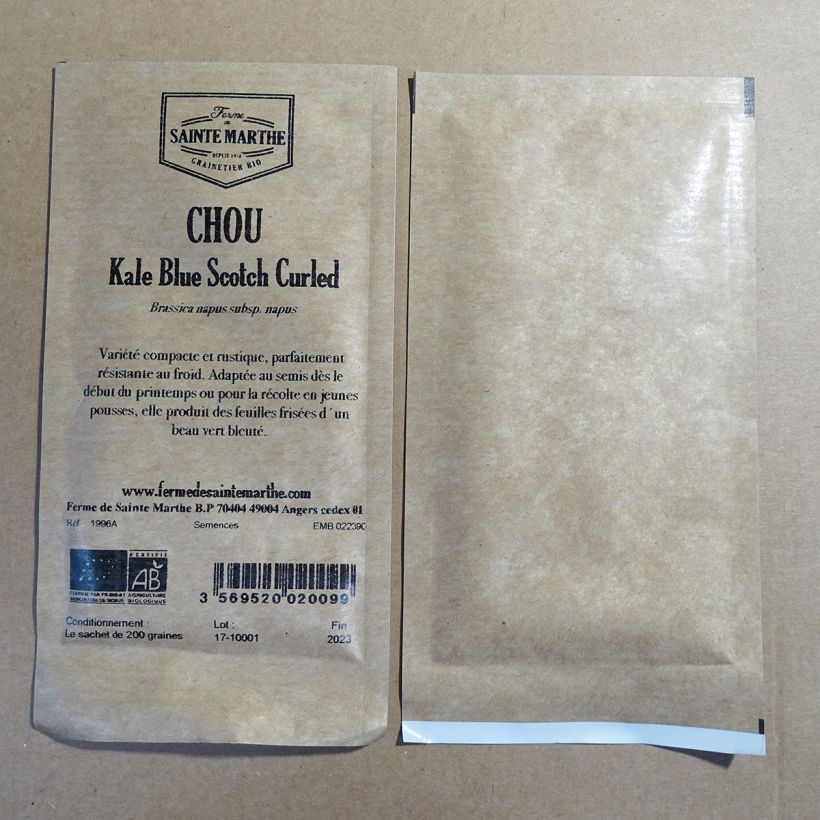 Beispiel eines Exemplars von Grünkohl Blue Scotch Curled - Ferme de Sainte Marthe die Tüte mit 250 Samen (1g) wie geliefert