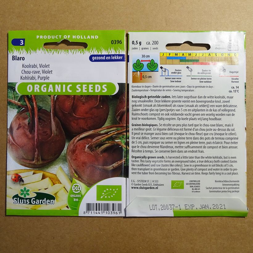 Beispiel eines Exemplars von Kohlrabi Blaro Violet Bio die Tüte mit 200 Samen wie geliefert