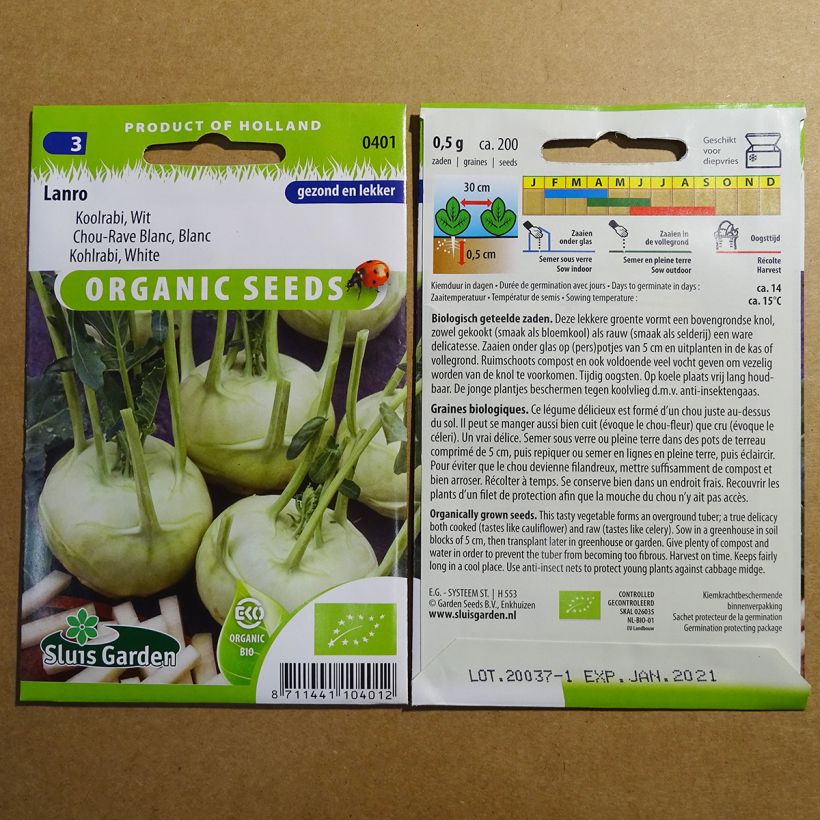 Beispiel eines Exemplars von Kohlrabi Lanro Blanc BIO die Tüte mit 200 Samen wie geliefert
