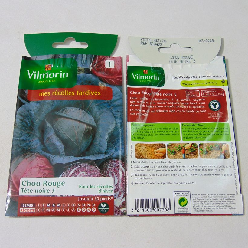 Beispiel eines Exemplars von Rotkohl Tête Noire 3 - Vilmorin die Tüte mit 800 Samen (2g) wie geliefert