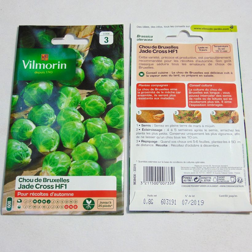 Beispiel eines Exemplars von Rosenkohl Jade Cross F1 - Vilmorin die Tüte mit 325 Samen (0.8g) wie geliefert