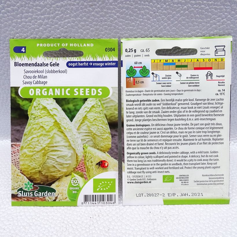 Beispiel eines Exemplars von Wirsing Bloemendaalse Gele Bio die Tüte mit 65 Samen (0,25g) wie geliefert