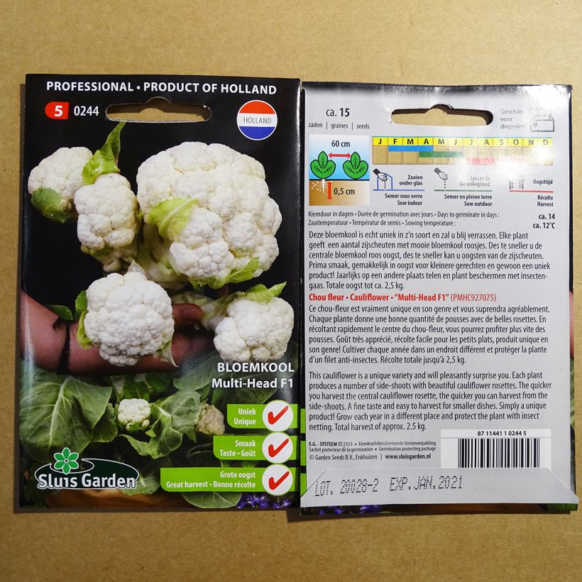 Beispiel eines Exemplars von Blumenkohl Multi-head F1 die Tüte mit 15 Samen wie geliefert