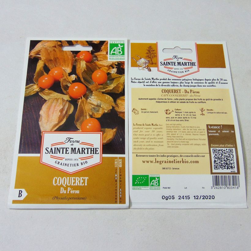Beispiel eines Exemplars von Andenbeere - Physalis edulis die Tüte mit 50 Samen wie geliefert