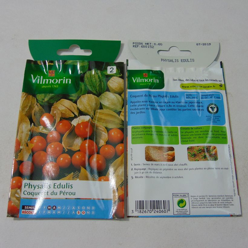 Beispiel eines Exemplars von Andenbeere - Vilmorin - Physalis edulis die Tüte mit Samen von 0.6 Gramm wie geliefert
