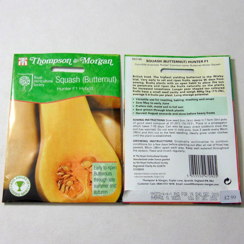 Beispiel eines Exemplars von Moschus-Kürbis Butternut Hunter F1 die Tüte mit 12 Samen wie geliefert