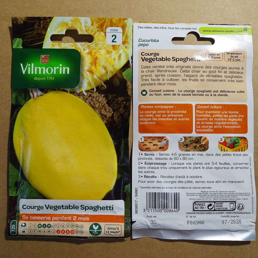 Beispiel eines Exemplars von Kürbis-Spaghetti - Vilmorin die Tüte mit 15 Samen (3g) wie geliefert
