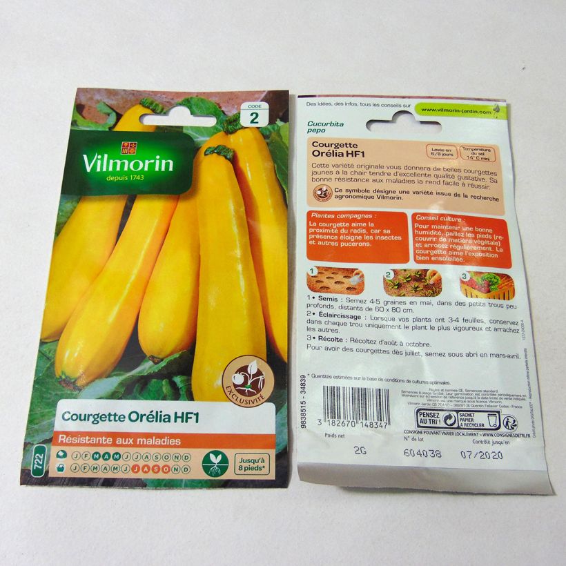 Beispiel eines Exemplars von Garten-Kürbis Orelia F1 - Vilmorin die Tüte mit 12 Samen (2g) wie geliefert