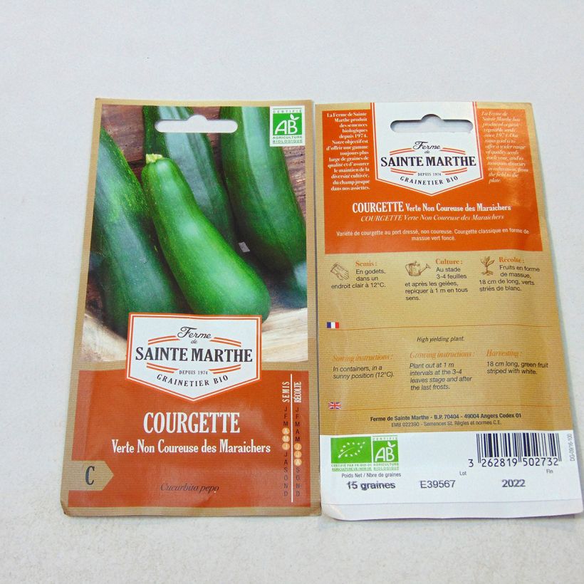 Beispiel eines Exemplars von Buschkürbis Verte non coureuse Bio - Ferme de Sainte Marthe die Tüte mit 15 Samen (1g) wie geliefert
