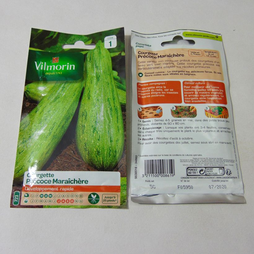 Beispiel eines Exemplars von Garten-Kürbis Frühe Markt-Zucchini - Vilmorin die Tüte mit 50 Samen (5g) wie geliefert