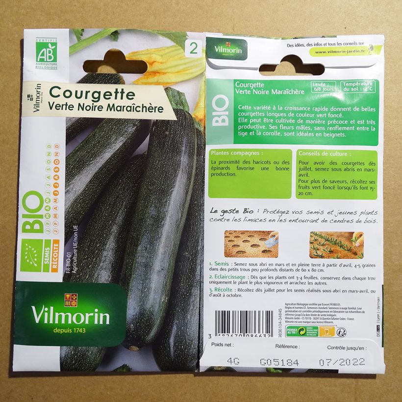 Beispiel eines Exemplars von Garten-Kürbis verte noire Bio - Vilmorin die Tüte mit 40 Samen (4g) wie geliefert