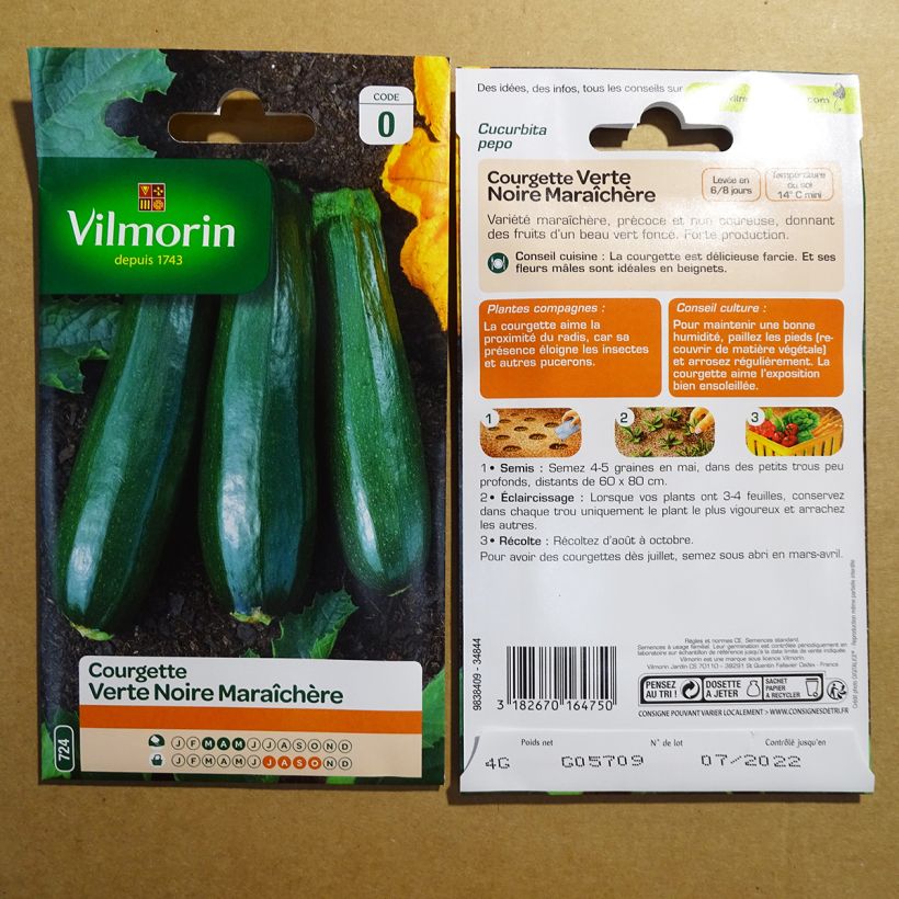 Beispiel eines Exemplars von Garten-Kürbis verte noire - Vilmorin die Tüte mit 40 Samen (4g) wie geliefert