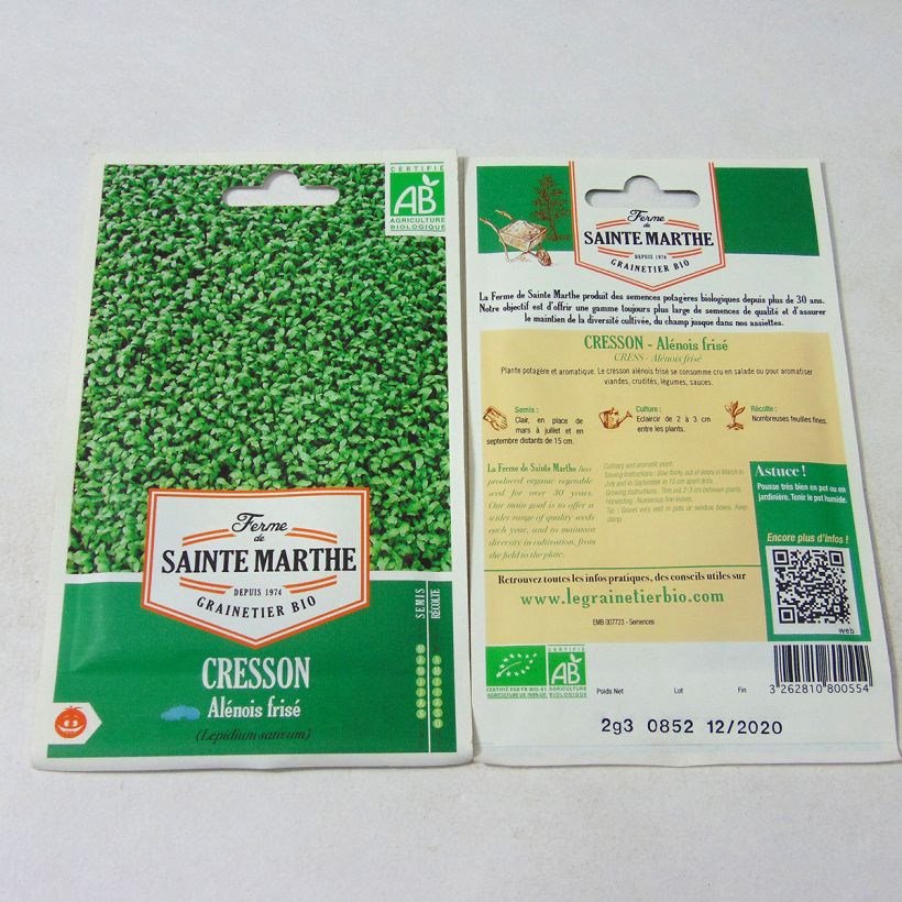 Beispiel eines Exemplars von Garten-Kresse Alénois Frisé - Lepidium sativum die Tüte mit 1000 Samen (2.3g) wie geliefert