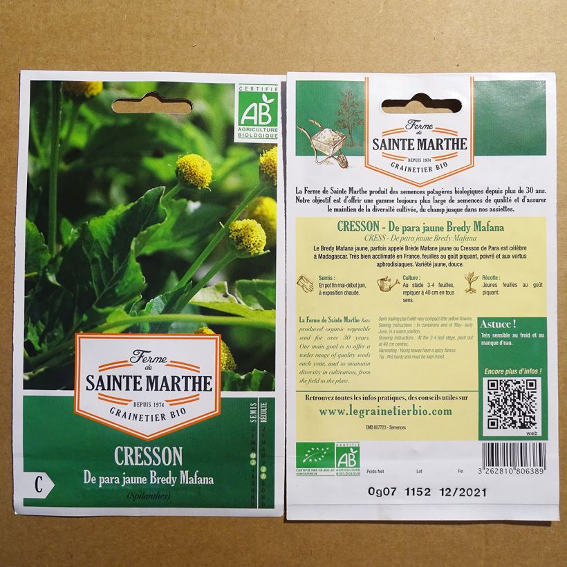 Beispiel eines Exemplars von Parakresse de Para Jaune Bredy Mafana - Spilanthes oleracea die Tüte mit 250 Samen wie geliefert