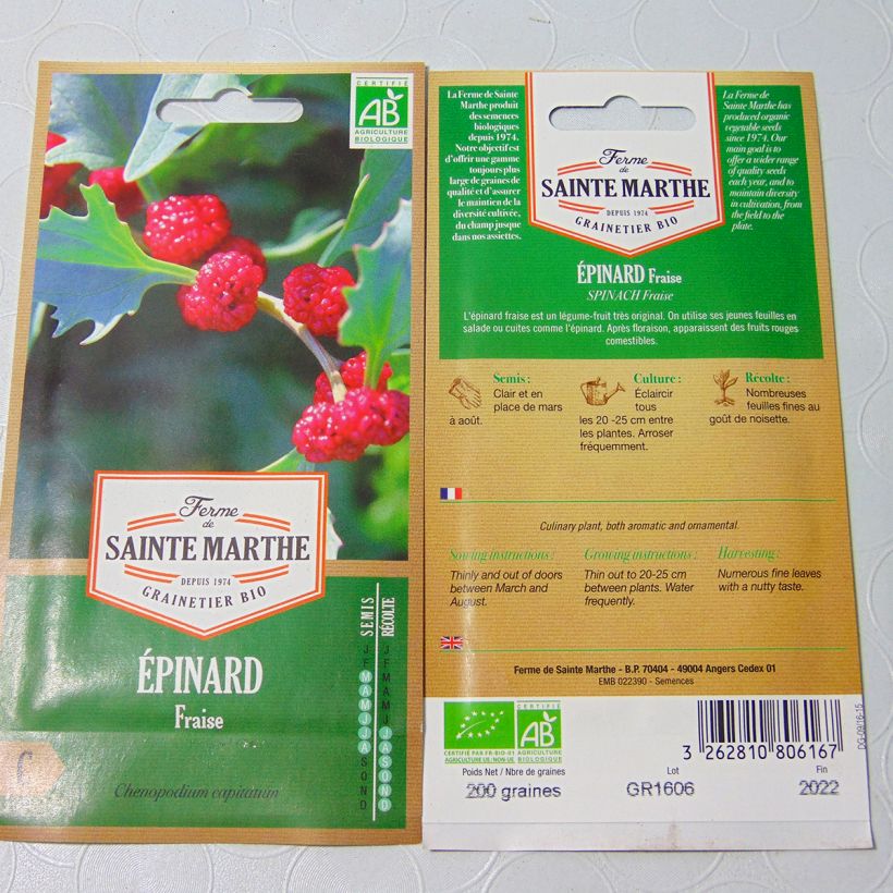 Beispiel eines Exemplars von Ähriger Erdbeerspinat Fraise - Chenopodium capitatum die Tüte mit 180 Samen (0.15g) wie geliefert