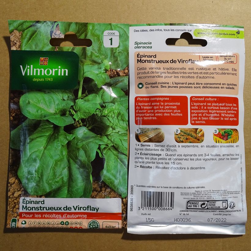 Beispiel eines Exemplars von Spinat Monstrueux de Viroflay - Vilmorin die Tüte mit 1500 Samen (15g) wie geliefert