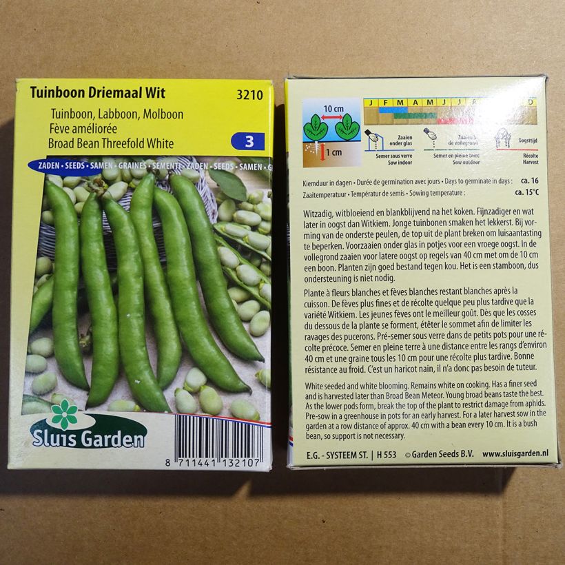 Beispiel eines Exemplars von Ackerbohne Driemaal Wit die Tüte mit 45 Samen (90g) wie geliefert