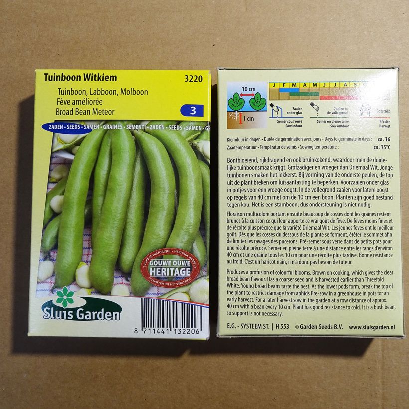 Beispiel eines Exemplars von Ackerbohne Witkiem die Tüte mit 42 Samen (85g) wie geliefert