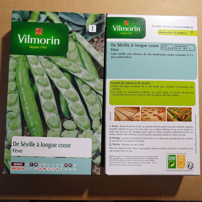 Beispiel eines Exemplars von Ackerbohne de Séville à Longue cosse - Vilmorin die Tüte mit 125 Samen (250g) wie geliefert