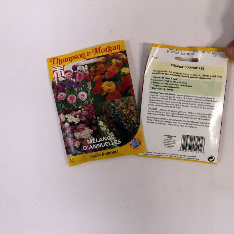 Beispiel eines Exemplars von Samen Mischung einjähriger Pflanzen - Easy Annuals Fairy Mixed die Tüte mit Samen von 2 Gramm wie geliefert