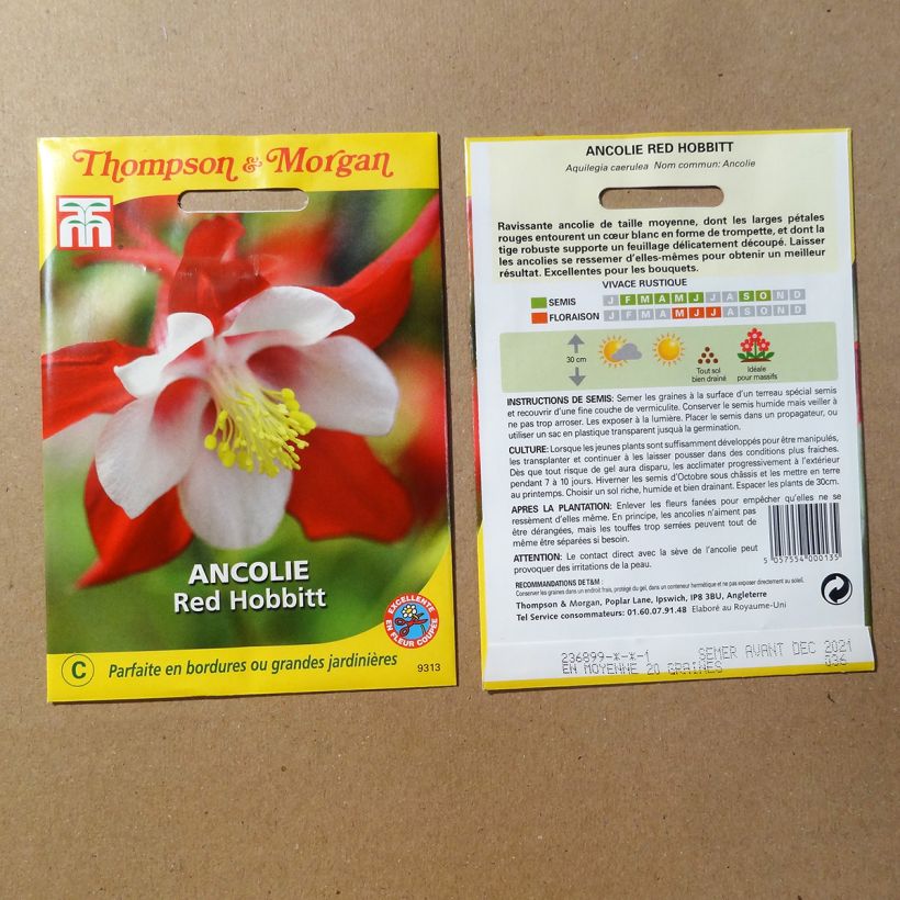 Beispiel eines Exemplars von Aquilegia caerulea Red Hobbit (Samen) - Garten-Akelei die Tüte mit 20 Samen wie geliefert