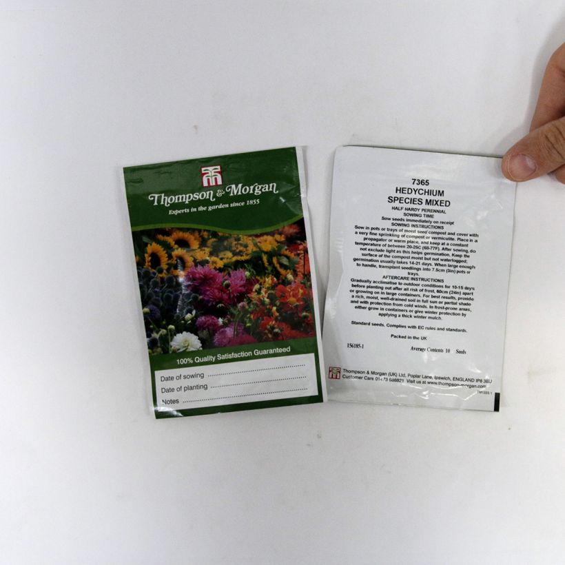 Beispiel eines Exemplars von Hedychium gardnerianum Species Mixed (Samen) - Schmetterlingsingwer die Tüte mit 10 Samen wie geliefert