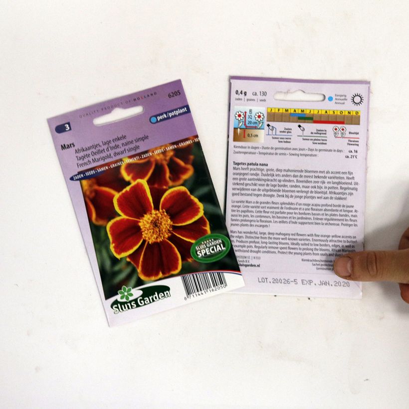 Beispiel eines Exemplars von Studentenblume Mars die Tüte mit 130 Samen wie geliefert