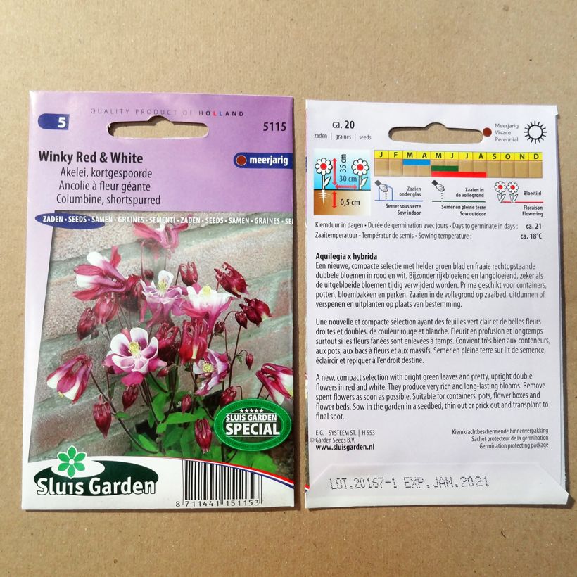 Beispiel eines Exemplars von Aquilegia Winky Red & White (Samen) - Garten-Akelei die Tüte mit 20 Samen wie geliefert