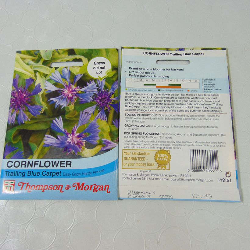 Beispiel eines Exemplars von Kornblume Trailing Blue Carpet (Samen) - Centaurea cyanoides die Tüte mit 30 Samen wie geliefert