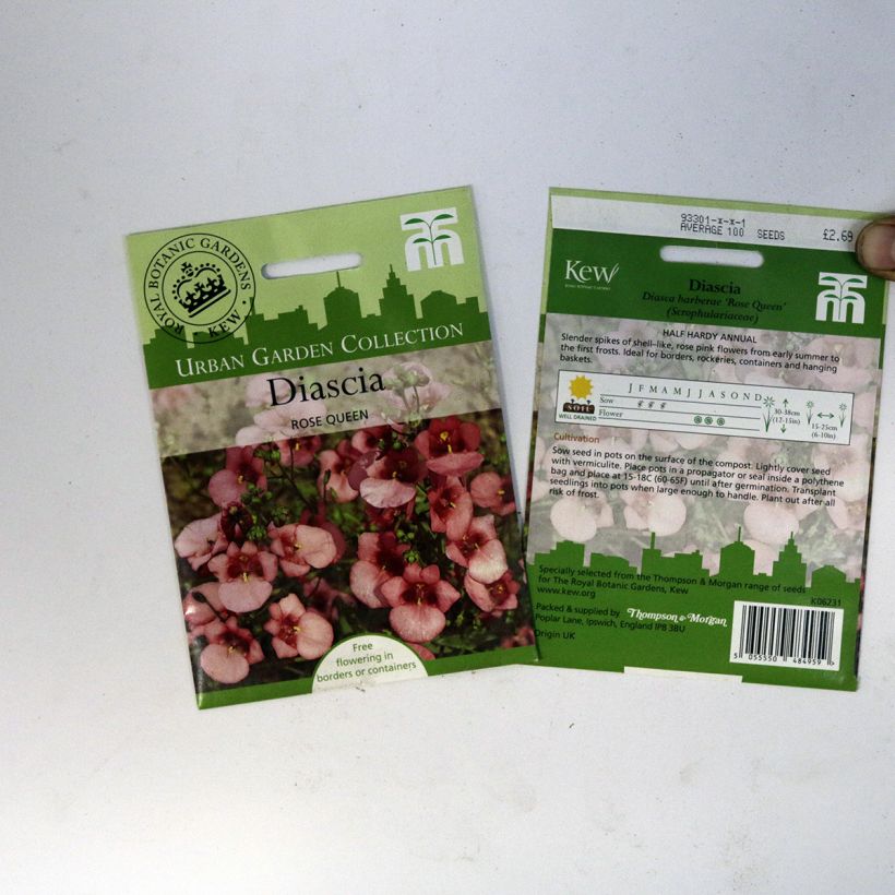 Beispiel eines Exemplars von Diascia Rose Queen (Samen) - Lachsblume die Tüte mit 550 Samen (0,15g) wie geliefert