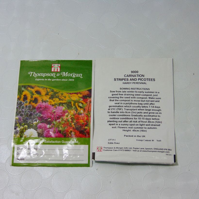 Beispiel eines Exemplars von Garten-Nelke Stripes & Picotees (Samen) - Dianthus caryophyllus die Tüte mit 80 Samen wie geliefert