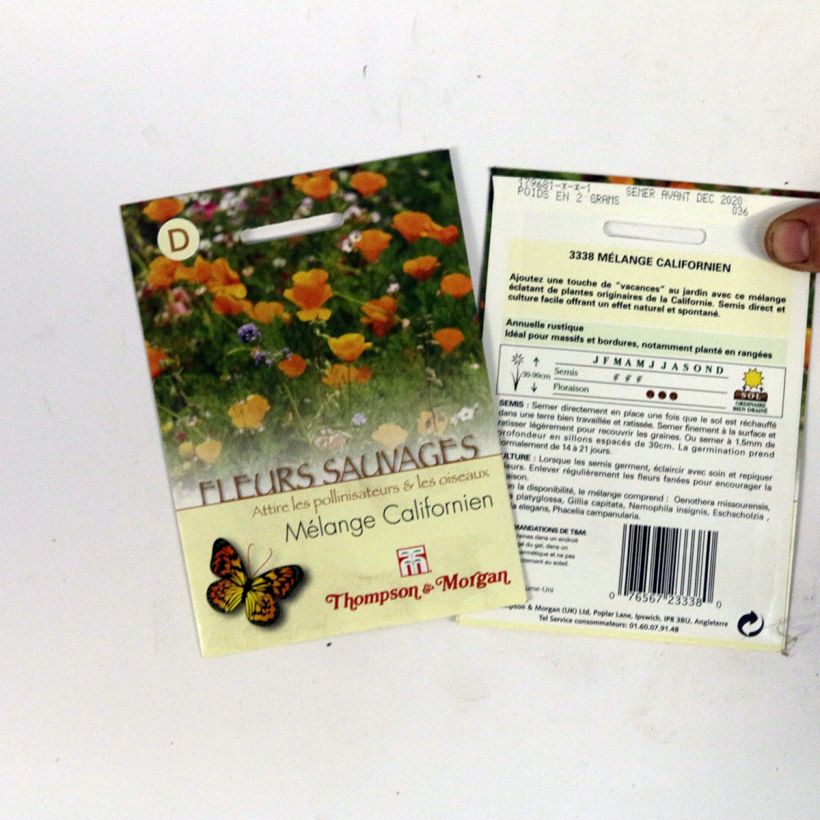 Beispiel eines Exemplars von Wildblumensamen - Kalifornische Mischung die Tüte mit Samen von 2 Gramm wie geliefert