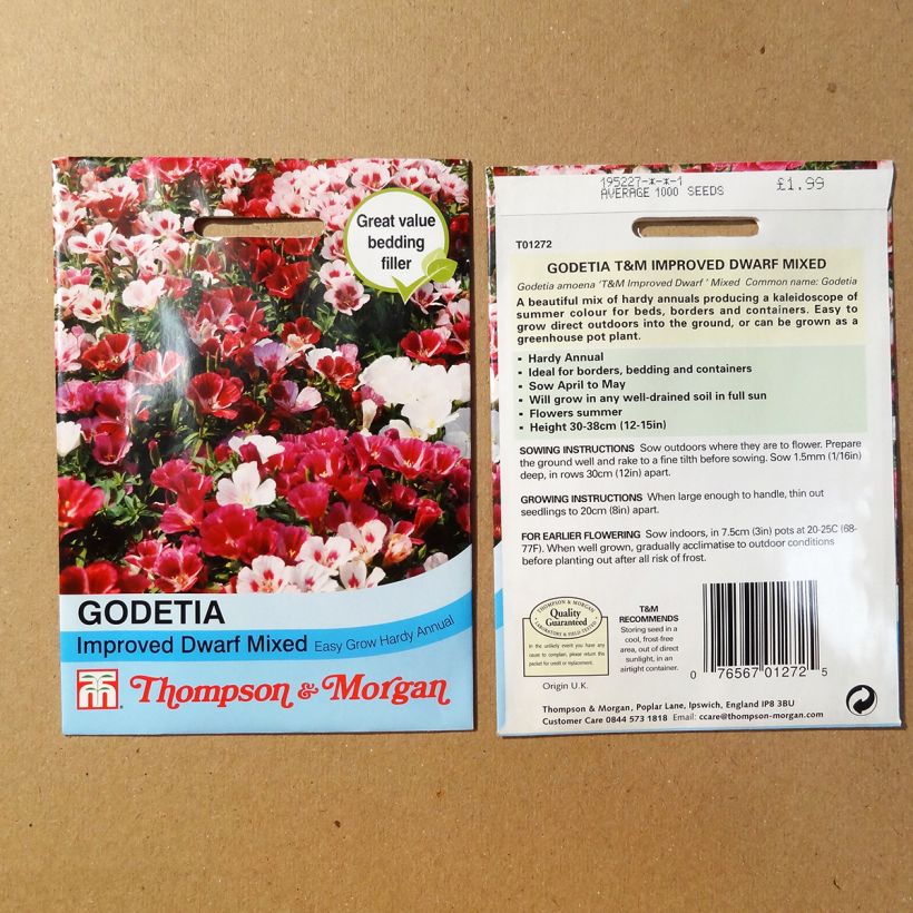 Beispiel eines Exemplars von Klarkie Improved Dwarf mix (Samen) - Godetia amoena die Tüte mit 1700 Samen (1g) wie geliefert