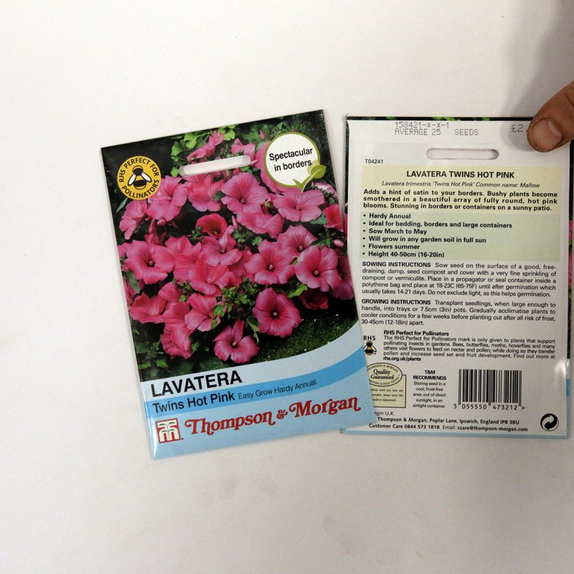 Beispiel eines Exemplars von Bechermalve Twins Hot Pink (Samen) - Lavatera die Tüte mit 25 Samen wie geliefert