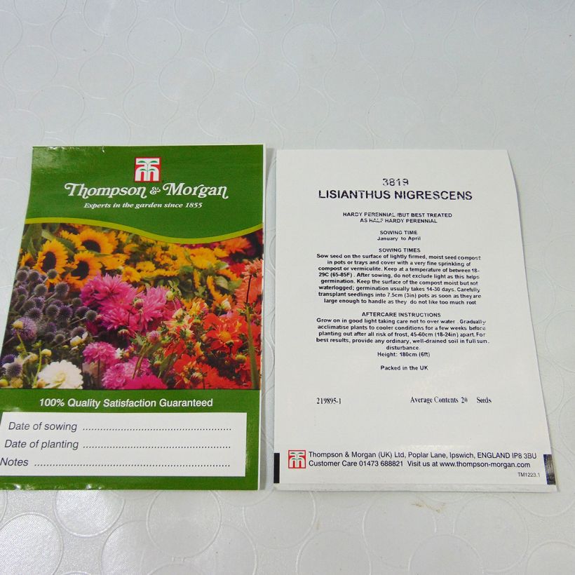 Beispiel eines Exemplars von Lisianthus nigrescens (Samen) - Prärieenziane die Tüte mit 20 Samen wie geliefert