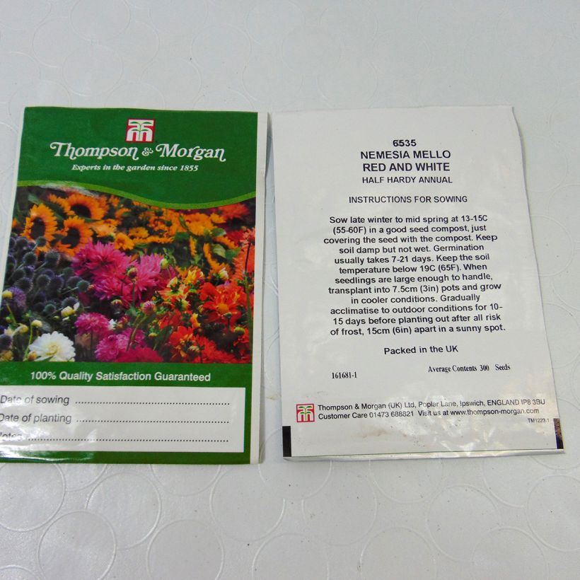 Beispiel eines Exemplars von Nemesia Mello Red & White (Samen) die Tüte mit 850 Samen (0,2g) wie geliefert