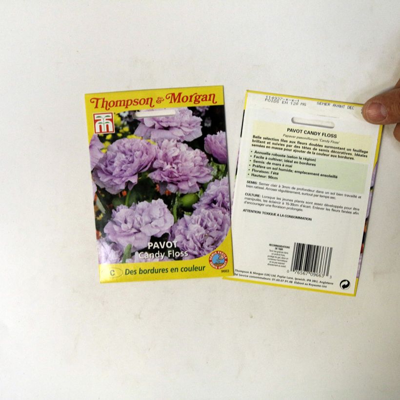 Beispiel eines Exemplars von Päonienmohn Candy Floss (Samen) - Papaver die Tüte mit 300 Samen wie geliefert
