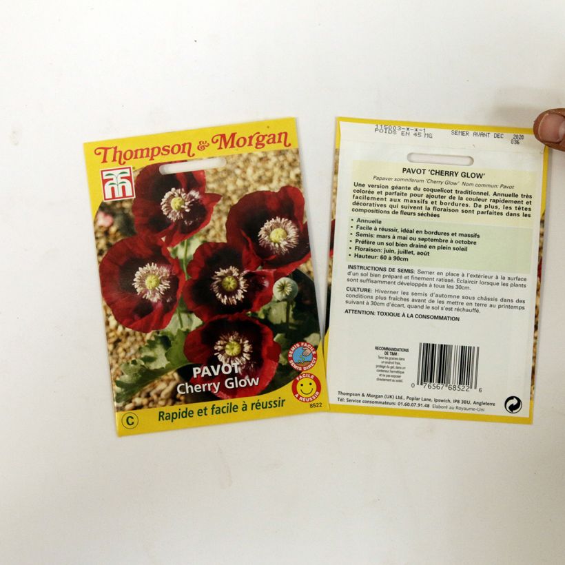 Beispiel eines Exemplars von Schlafmohn Cherry Glow (Samen) - Papaver die Tüte mit 200 Samen wie geliefert