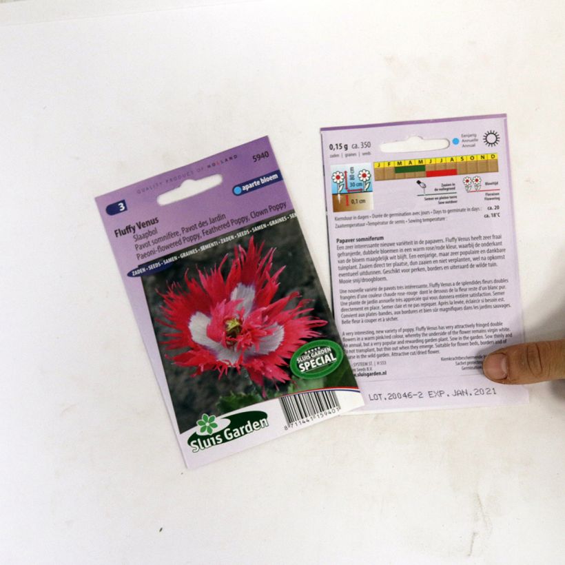 Beispiel eines Exemplars von Schlafmohn Fluffy Venus (Samen) - Papaver die Tüte mit 800 Samen wie geliefert